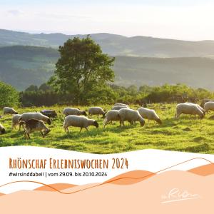 Miniaturansicht
