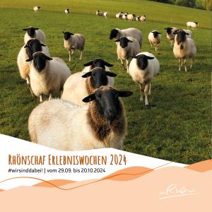 Miniaturansicht