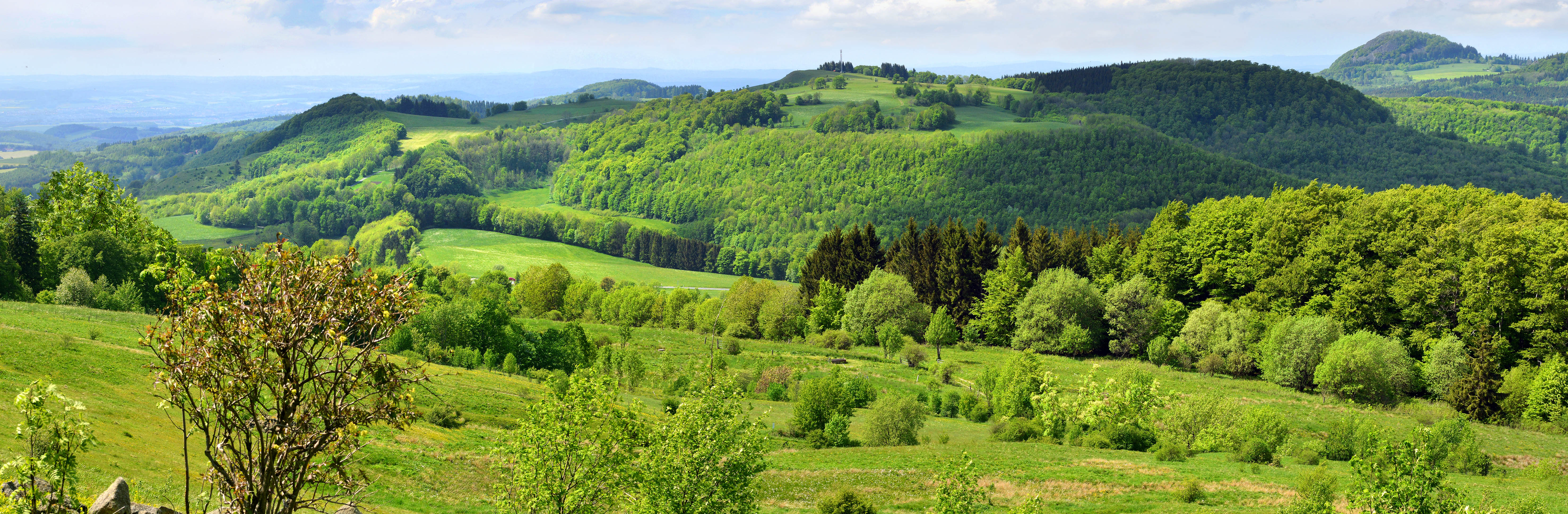 Blick auf die grünende Abtsroda.