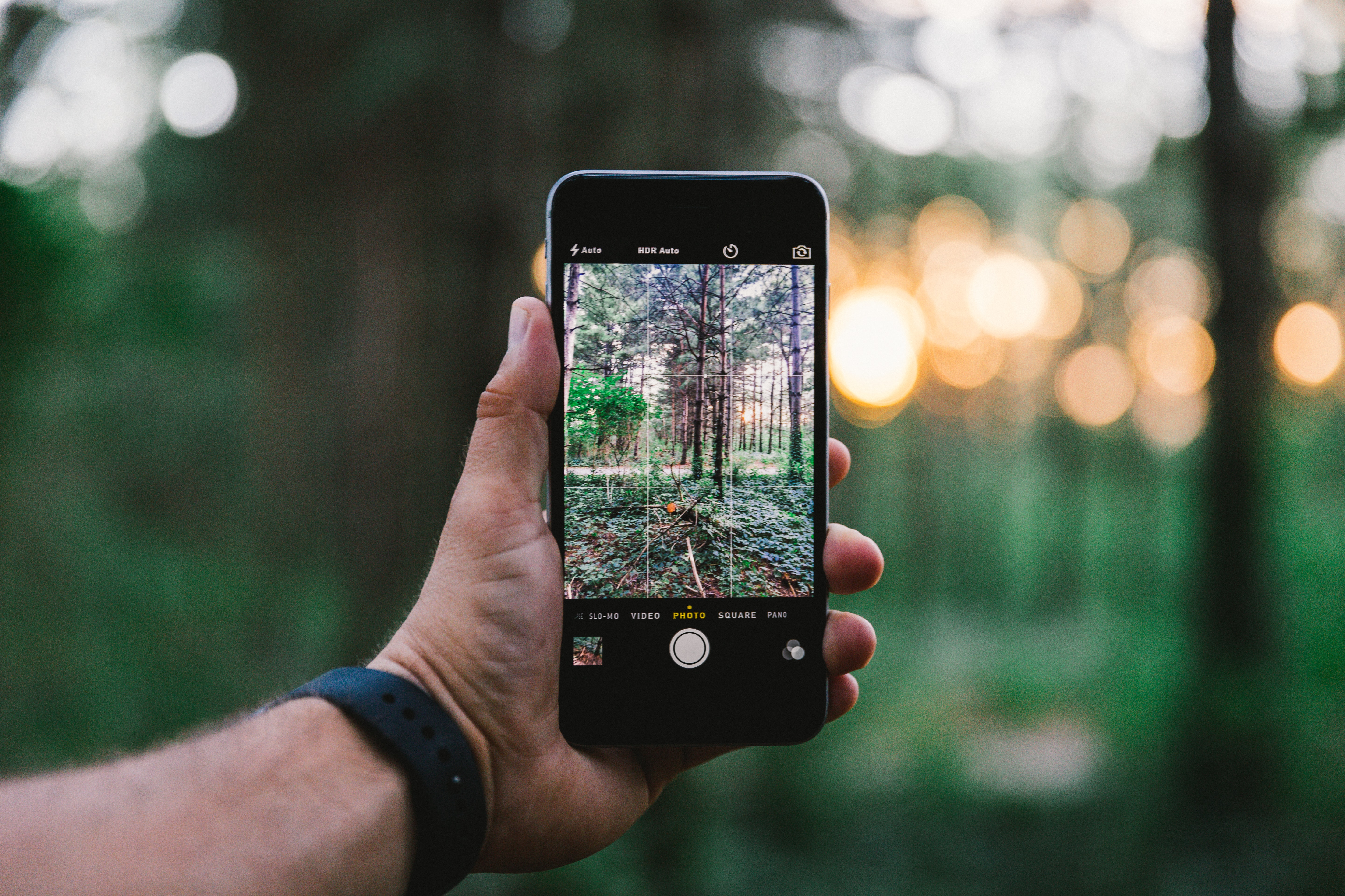 Smartphone welches von Perosn gehalten wird und ein Foto vom Wald macht.