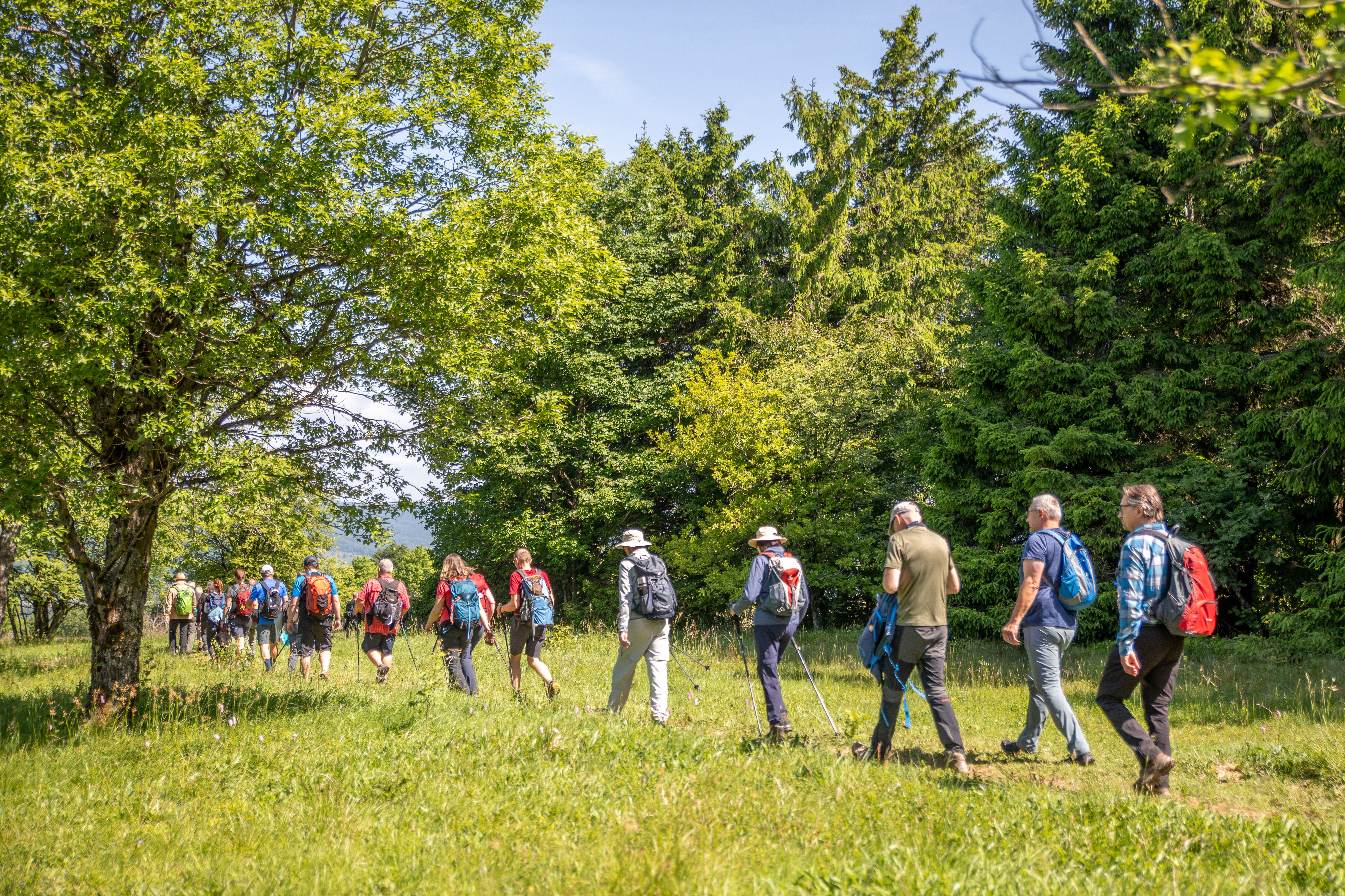 Wandergruppe von hinten beim wandern.