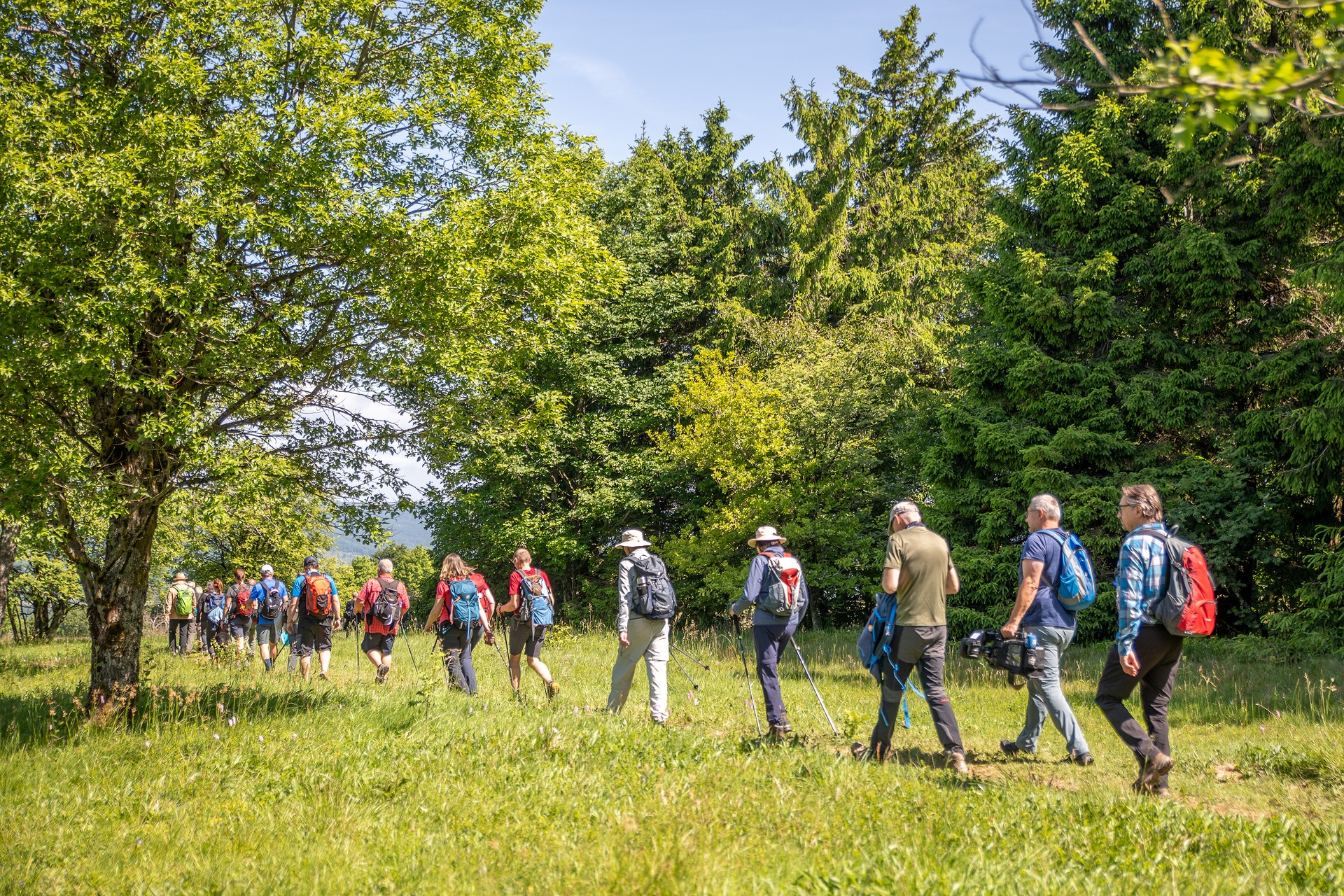 Mehrere wandernde Personen auf der Kreuzbergtour.