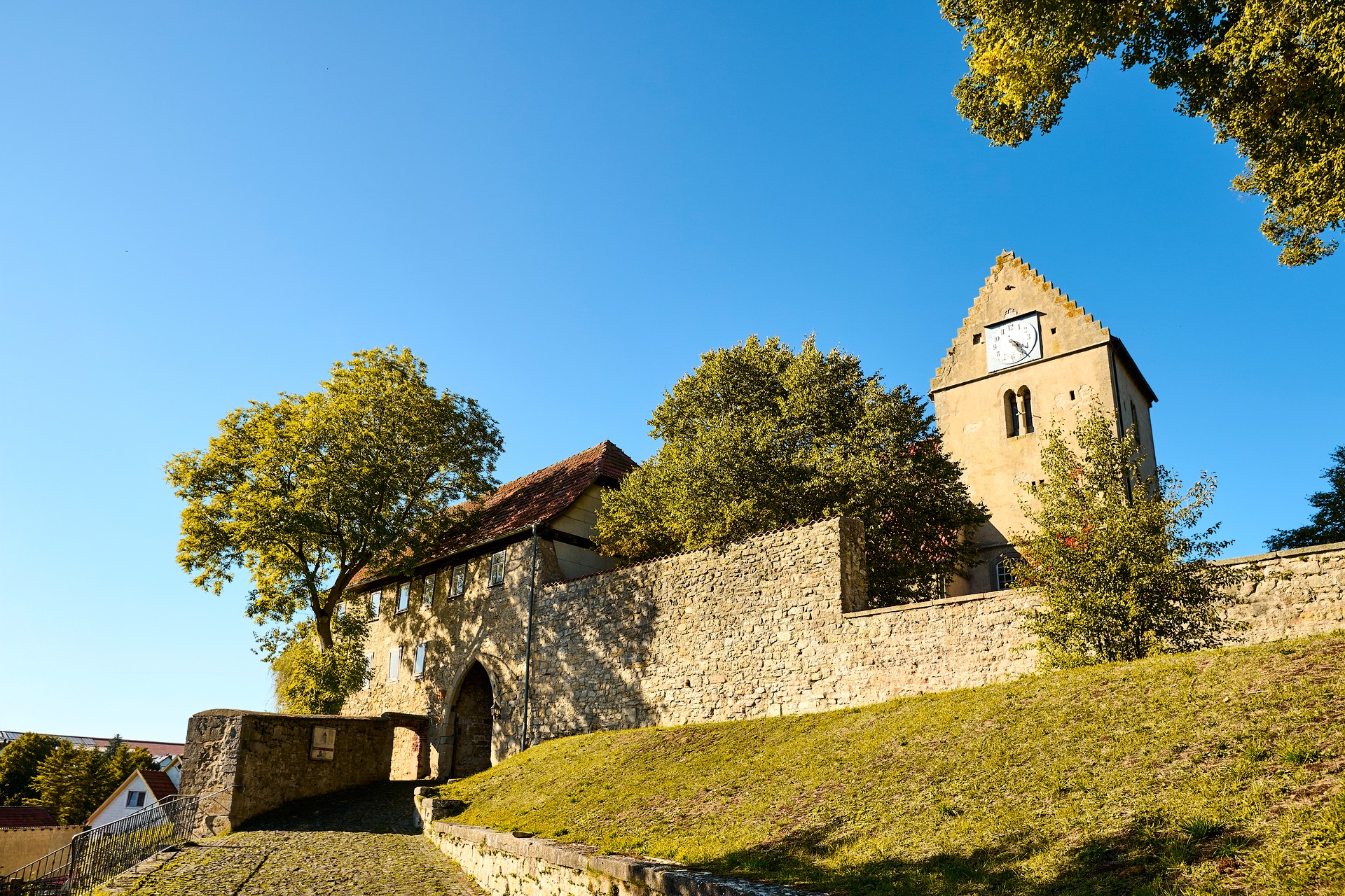Die Kirchenburg mit Bäumen.